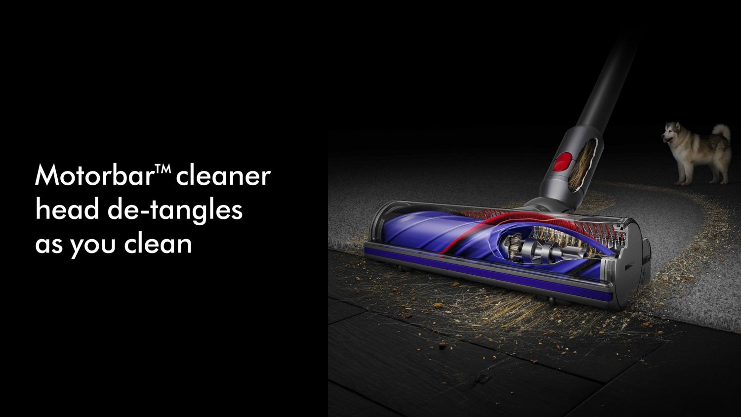 Dyson V8 Absolute Cordless Vacuum Cleaner | Powerful & Lightweight | Silver/Yellow & Silver/Nickel